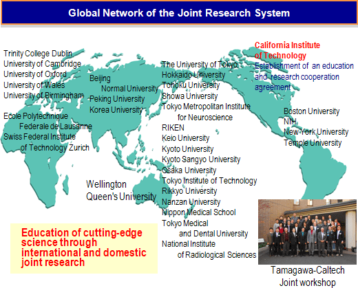 Global Network of the Joint Research System