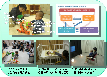 乳幼児発達研究　～言語発達と母子間相互作用～